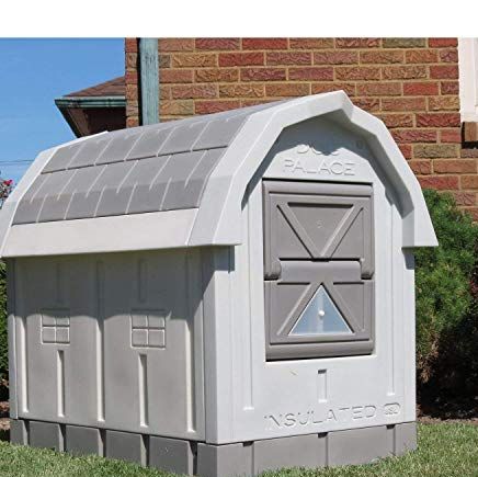 Dog Houses For Winter  Setting Up Water and Insulation