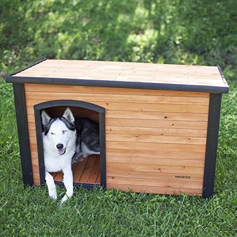 10 Best Insulated Dog Houses 2021, How To Make Outdoor Dog Kennel Warmer