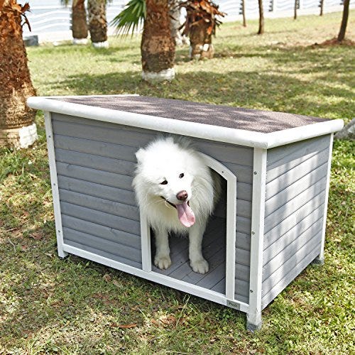 10 Best Insulated Dog Houses 2021 - Winter Dog House Reviews