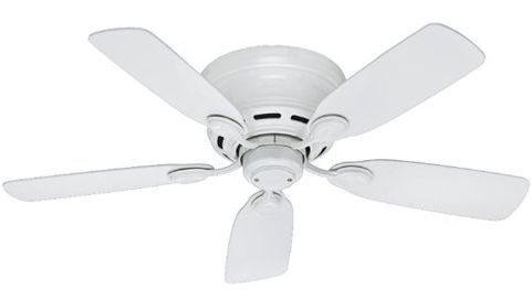 Ceiling Fans With Lights And Remotes, White Leaf Ceiling Fan With Light
