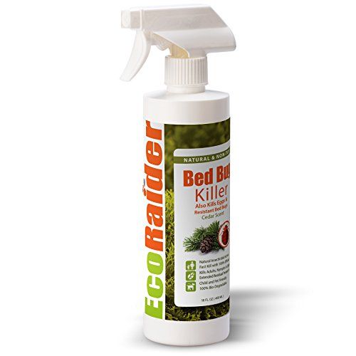 Bed Bug Killer by EcoRaider