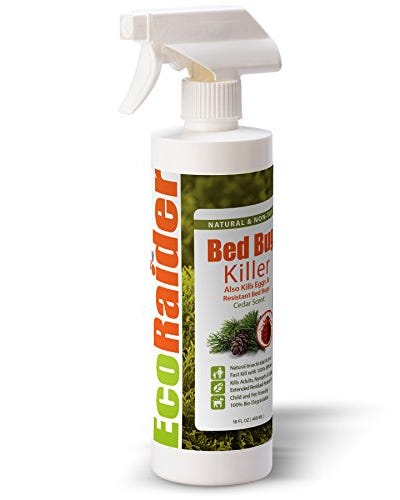 Bed Bug Killer by EcoRaider