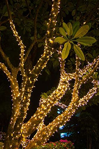 20 Best Outdoor Lights Ideas, Best Outdoor Lighting For Trees