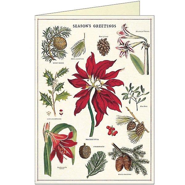 Vintage Poinsettia