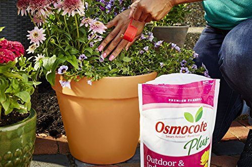 Osmocote Smart-Release Plant Food