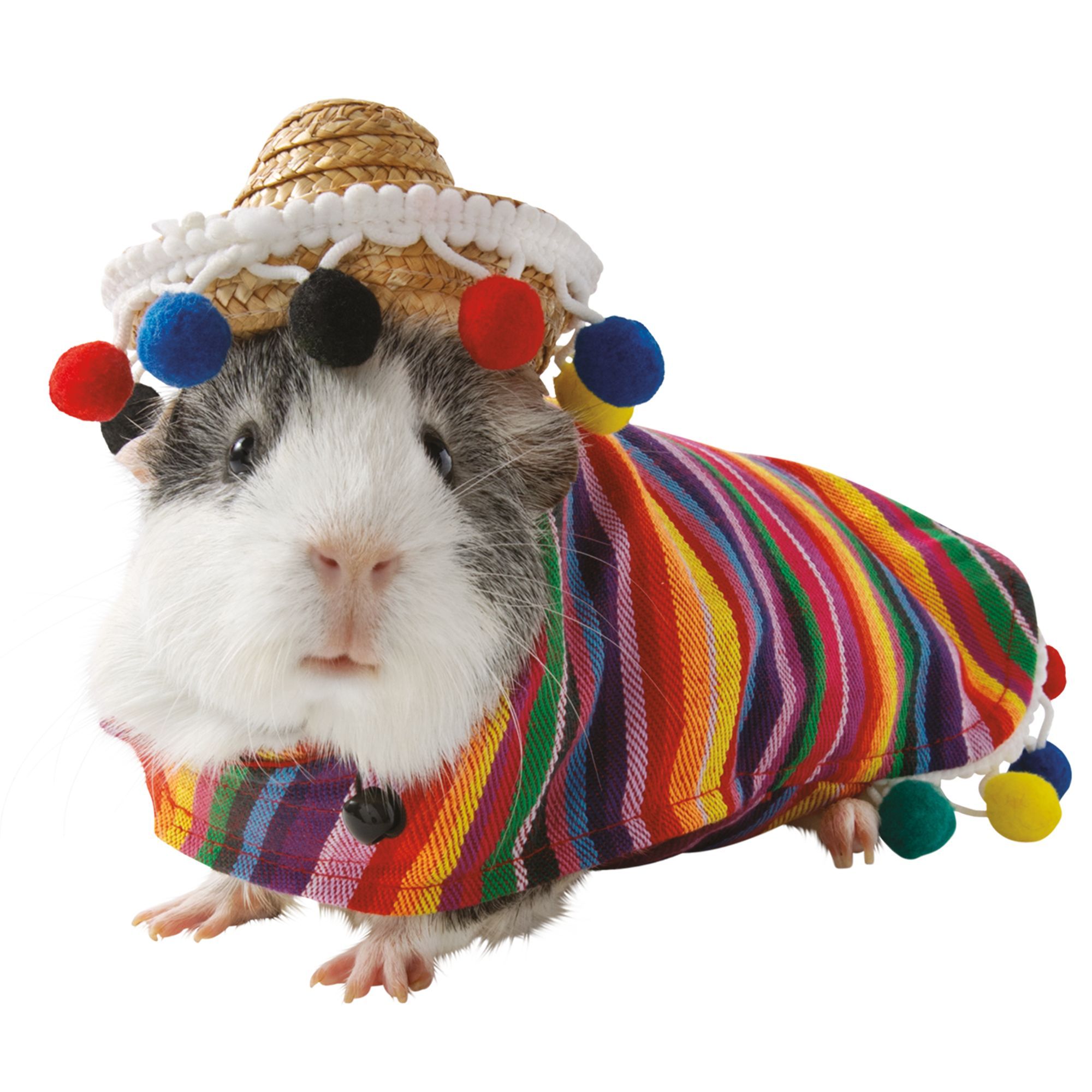 Guinea Pig Halloween Costumes 