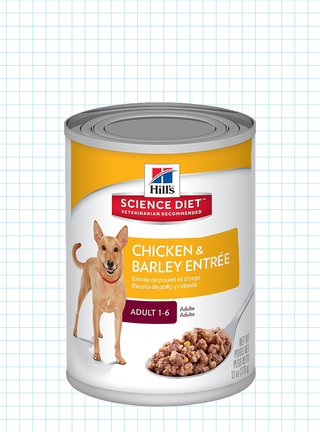 Best Dog Food Brands 2020 Best Wet And Dry Dog Food
