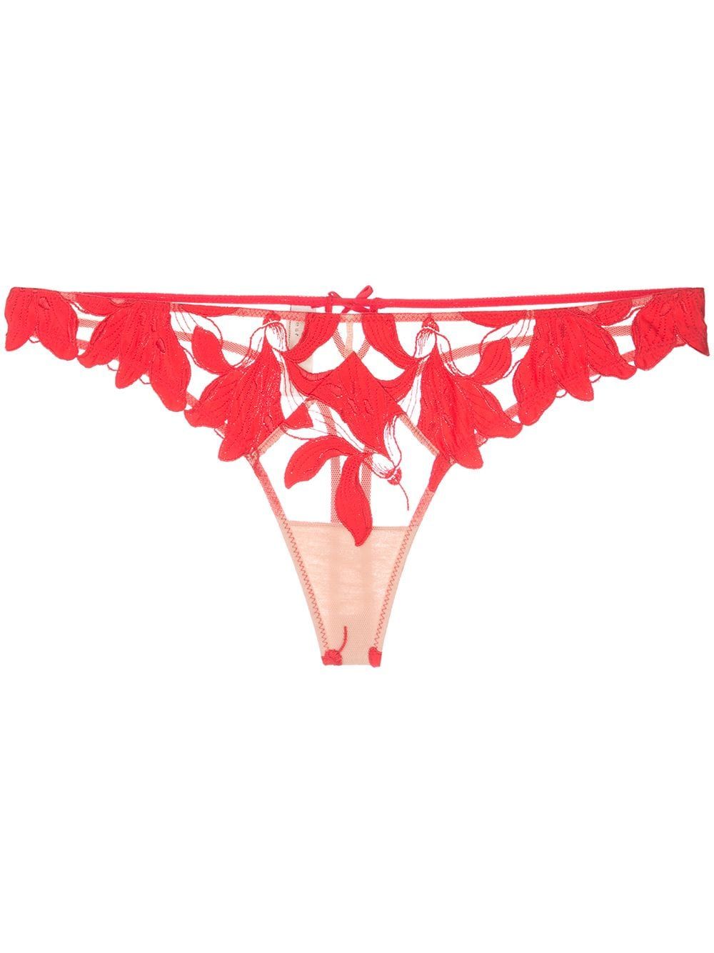17 Best Underwear For Women Best Women S Underwear Brands
