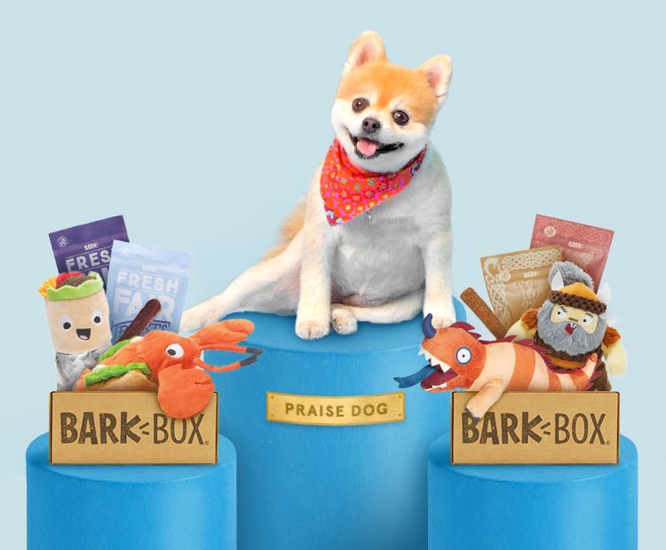 cheaper barkbox