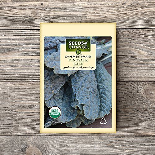 Seeds of Change Certified Organic Dinosaur Kale
