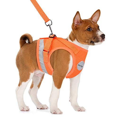 Gauterf dog and cat universal harness with 2024 leash set