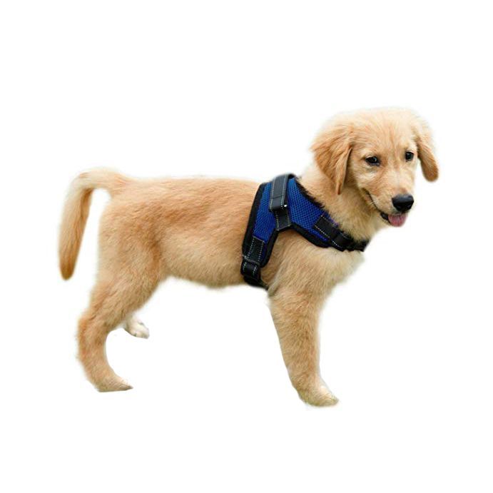 No-Pull Reflective, Adjustable Dog Harness with Handle
