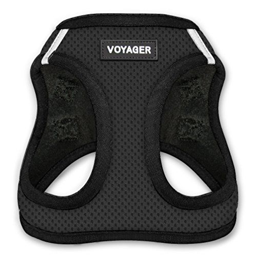 Voyager Step-In Air Dog Harness 