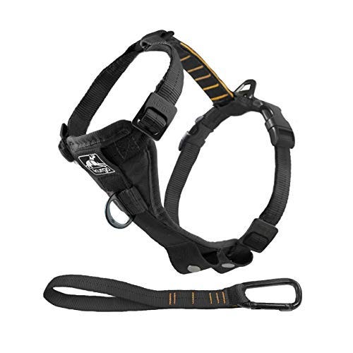 10 Best Harnesses for Puppies in 2023 - No Pull Dog Harnesses