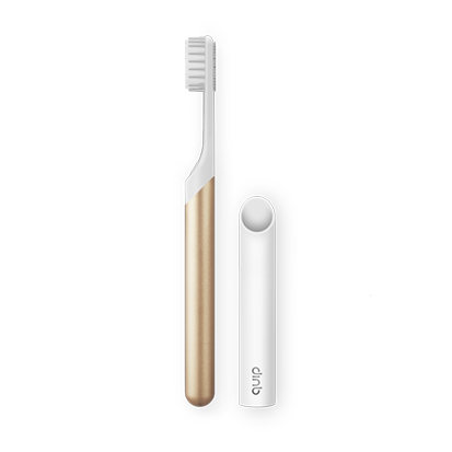 Quip Electric Toothbrush Set