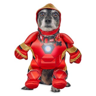 Iron Man Dog Costume