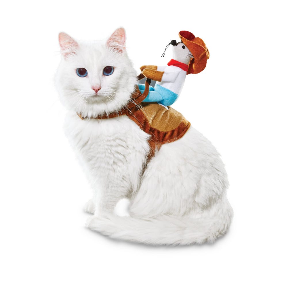 Cowboy Cat Costume