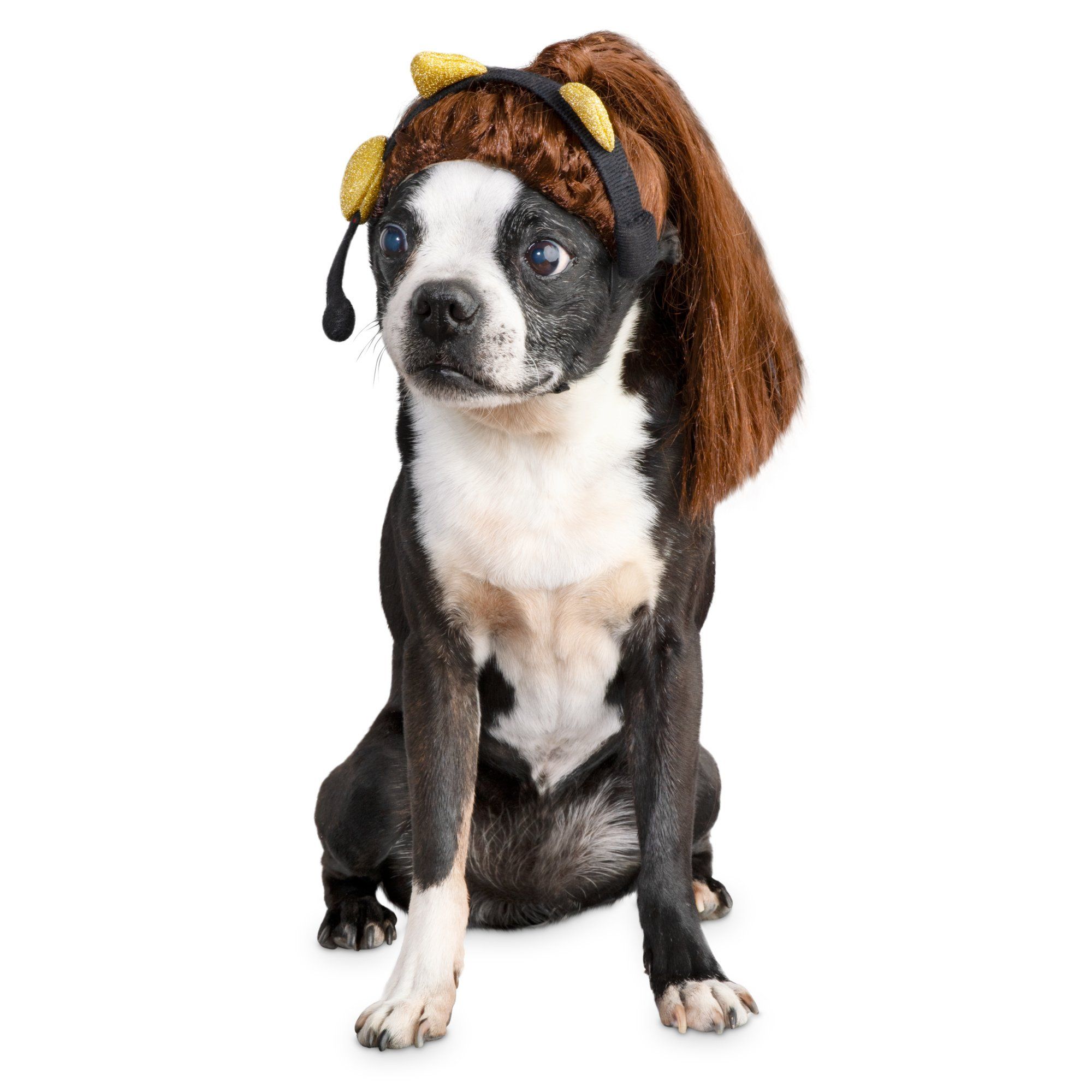 Pop Princess Dog Headpiece