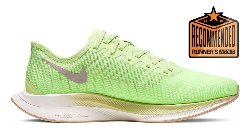 nike pegasus for overpronation