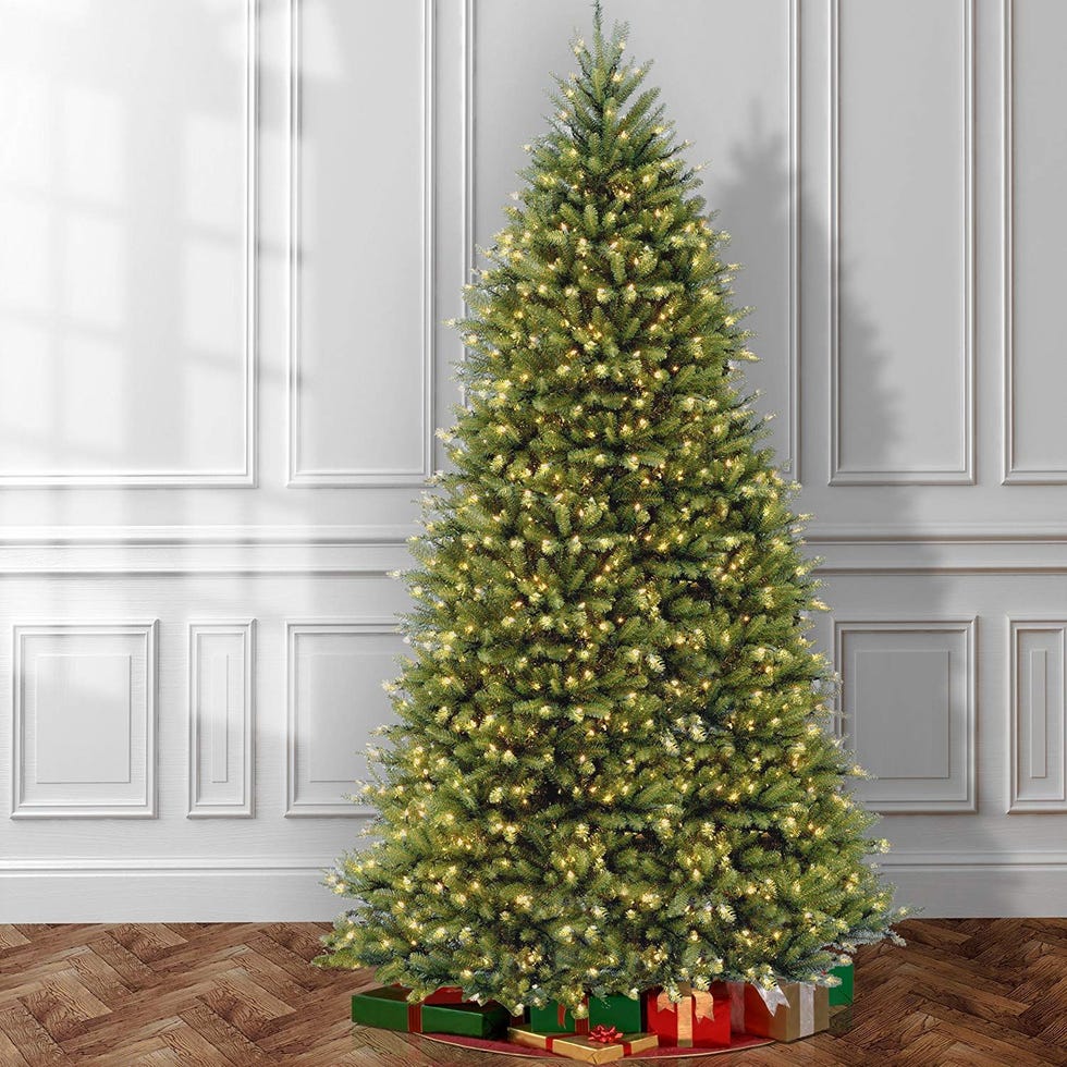 Dunhill Fir Tree, 12 Feet 