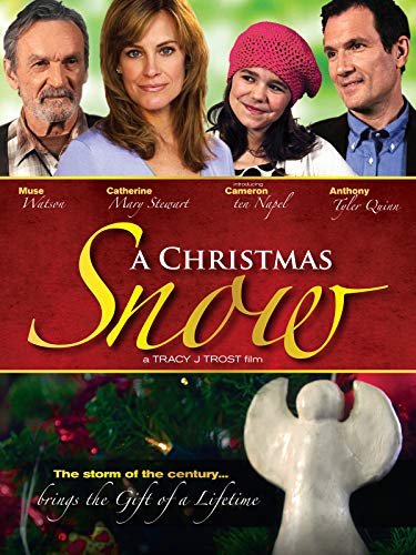 30 Best Christmas Movies on Amazon Prime 2021  Top Amazon Prime