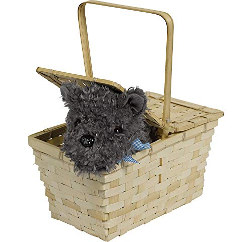 Toto Picnic Basket