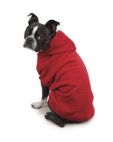 Zack & hot sale zoey dog hoodie