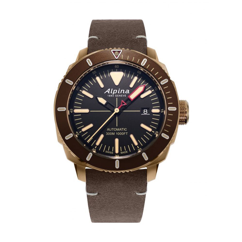 Budget outlet bronze watch