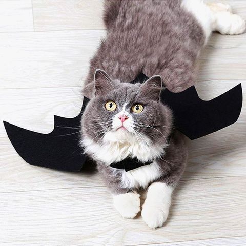 Cat And Mouse Costumes