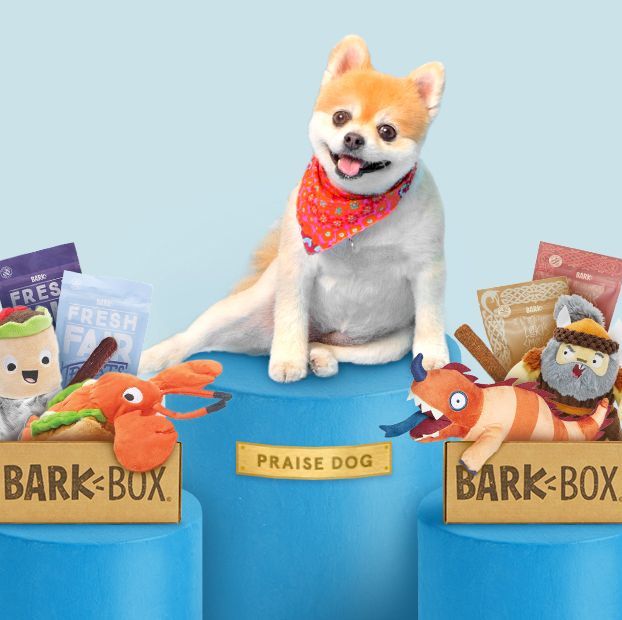 BarkBox Subscription