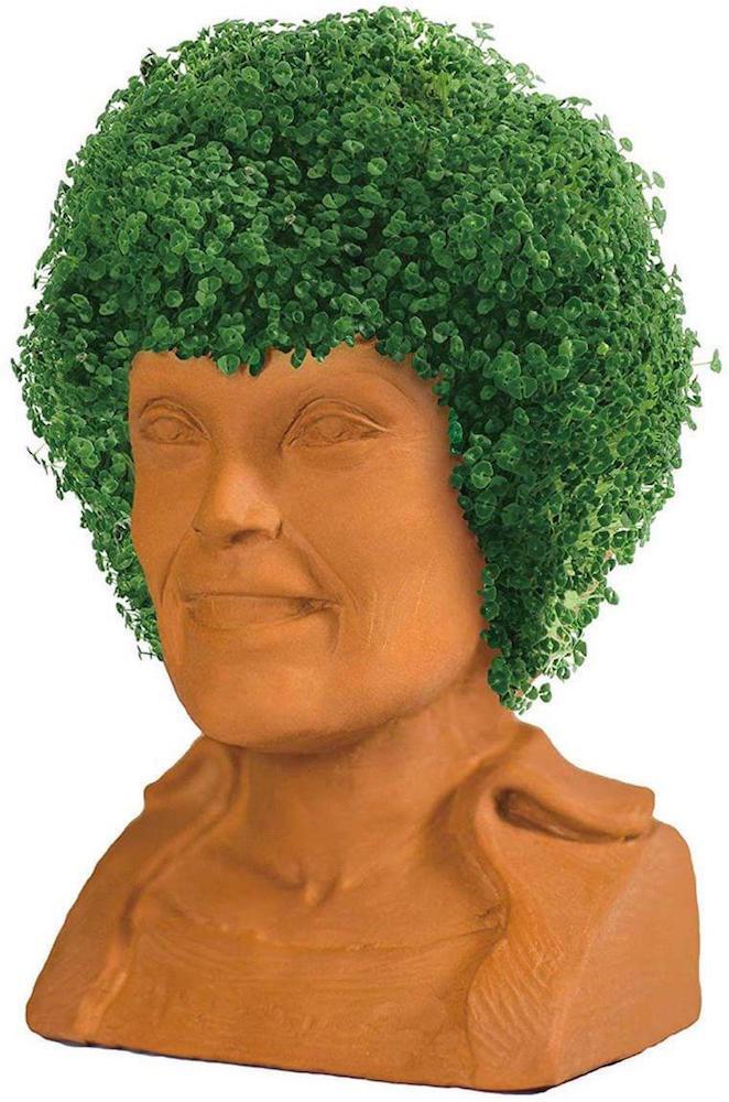 'The Golden Girls' Chia Pets - Where to Buy Dorothy and Rose Chia