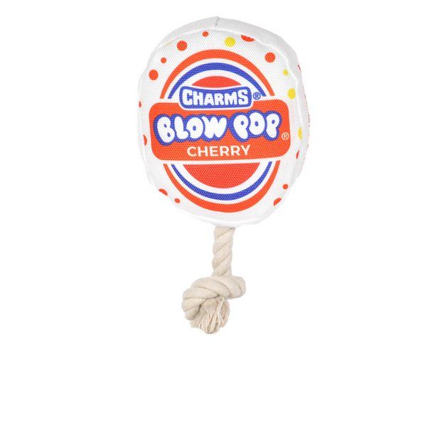 OurPets Blow Pop Dog Toy