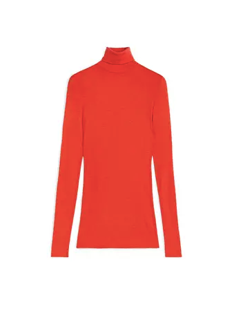 Sheer Merino Wool Roll-Neck