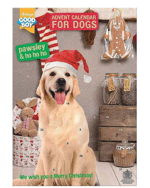 Dog advent calendars 10 best advent calendars for pets