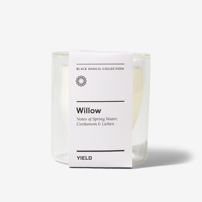 Willow CBD Candle