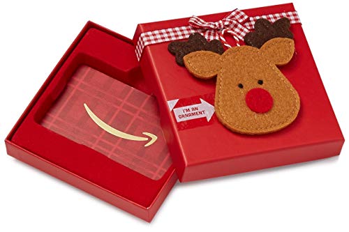 Amazon Gift Card and Reindeer Ornament