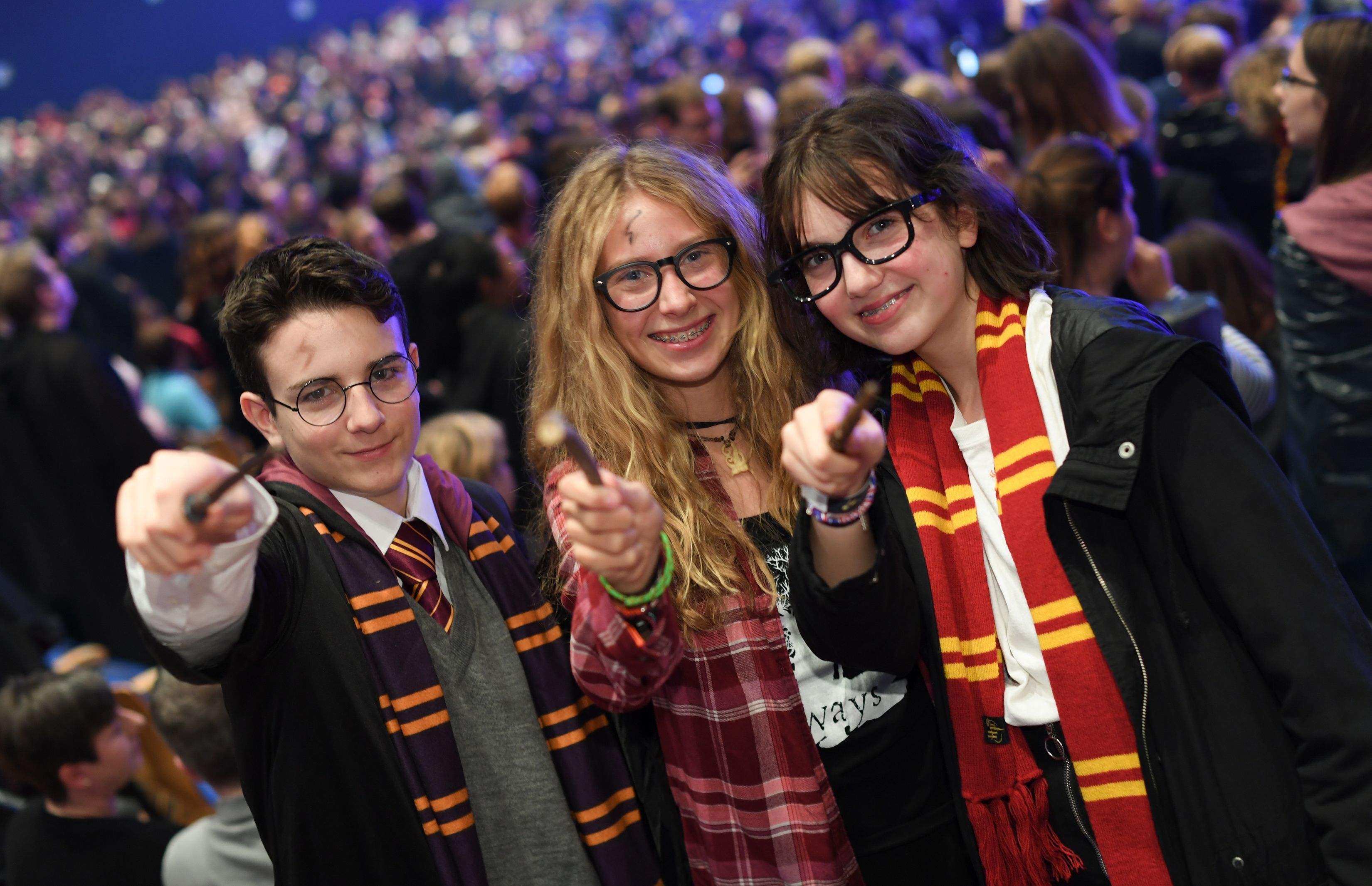 Harry Potter Group Costume