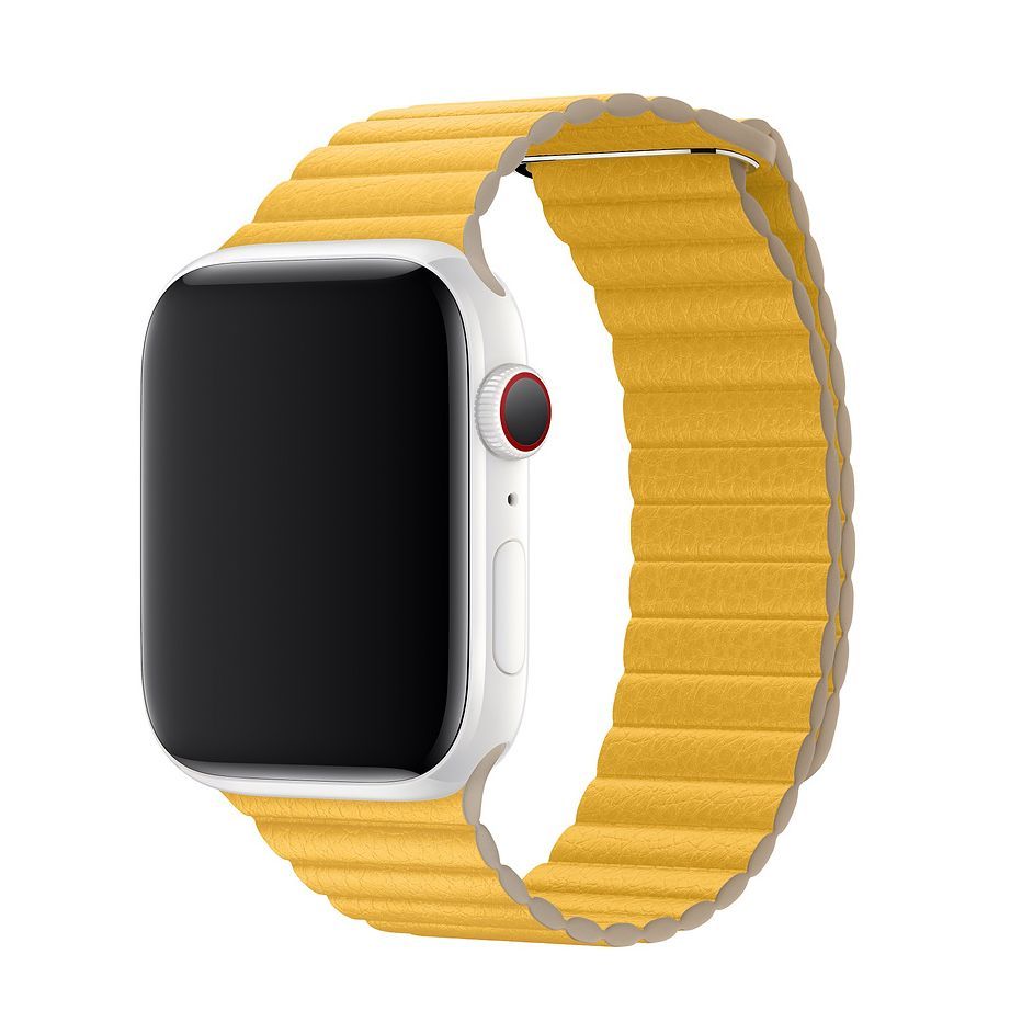 Apple Watch Leather Loop Band