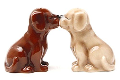 Labrador Puppies Magnetic Salt and Pepper Shakers