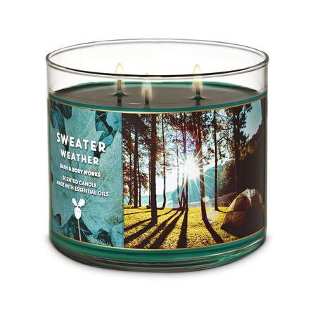 1 Bath /& Body Works VETIVER SANDALWOOD Large 3-Wick Filled Candle FALL AUTUMN