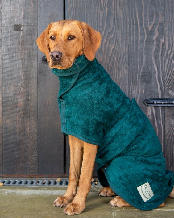 Dog Drying Coat