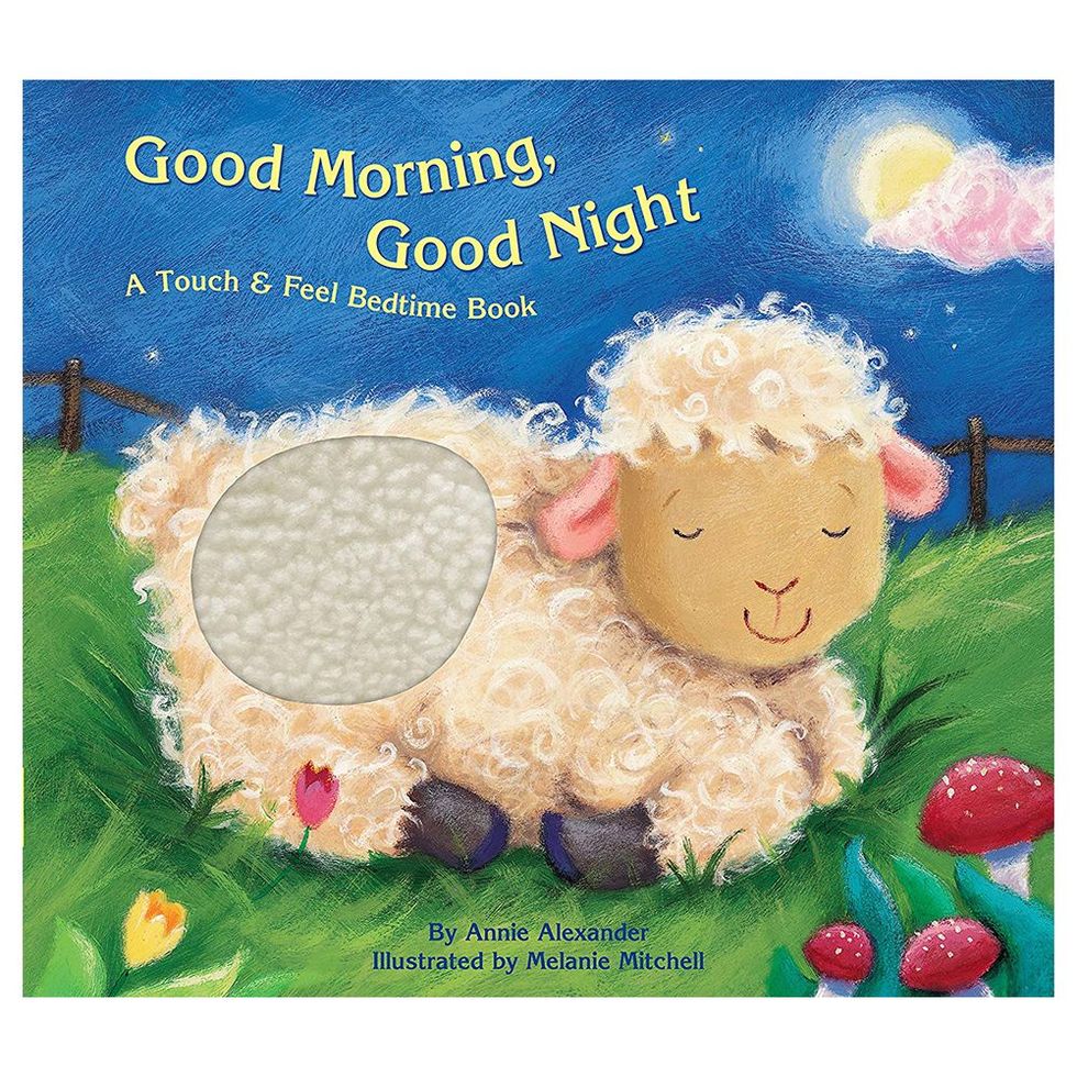 'Good Morning, Good Night!' by Melanie Mitchell
