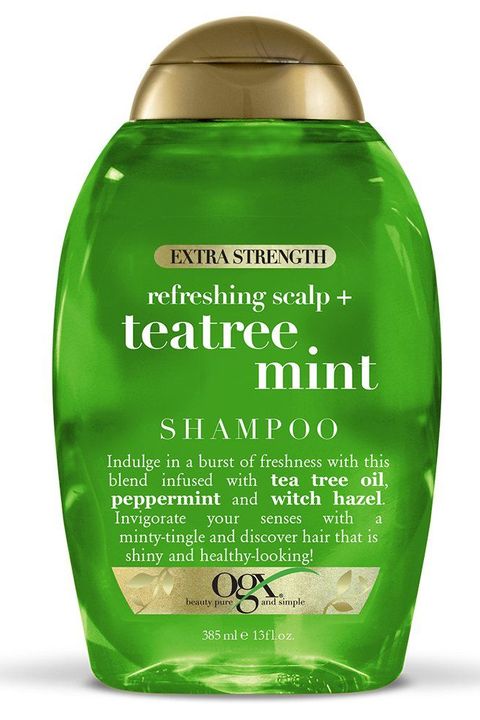 Best Shampoo For Hair Oily Scalp Saviours