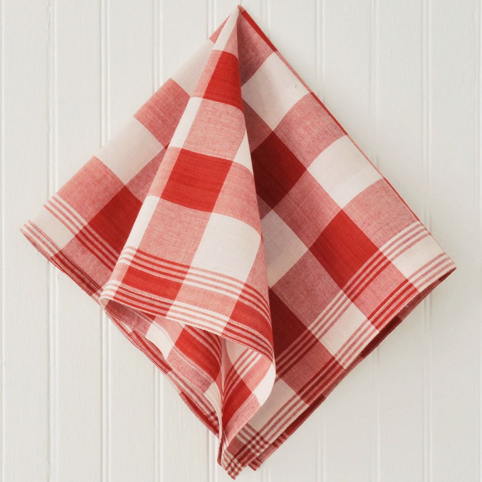 Gingham Bandanna In Madder Red