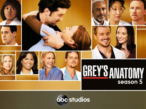 Grey's Anatomy, season 5