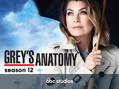Grey's Anatomy season 12