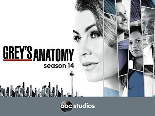Anatomía de Grey temporada 14