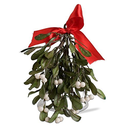 Mistletoe with Red Ribbon