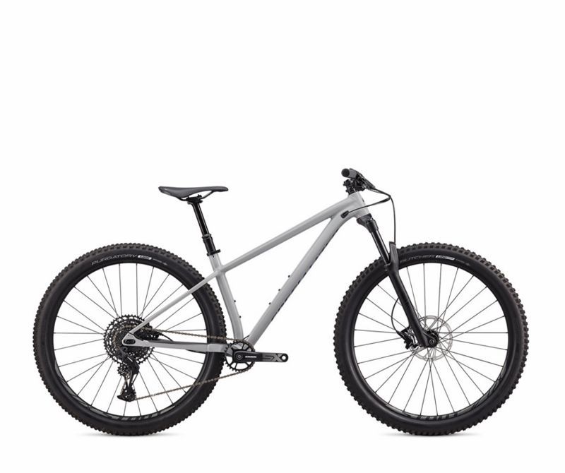 Mtb specialized clearance 2020