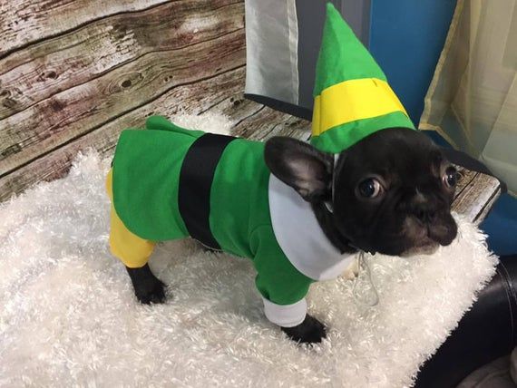 Bud the Elf, Bud the Elf dog outfit, Christmas dog outfit